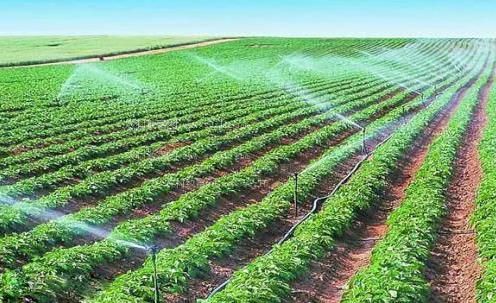 屌插逼下载农田高 效节水灌溉